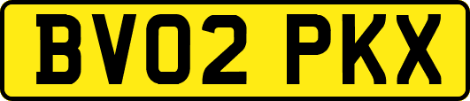BV02PKX