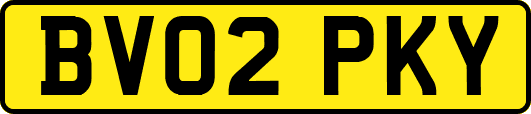 BV02PKY