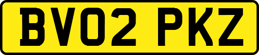 BV02PKZ