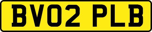 BV02PLB