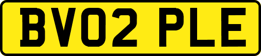 BV02PLE