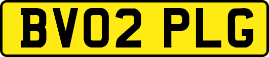BV02PLG