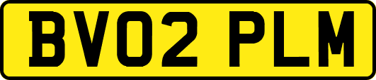 BV02PLM