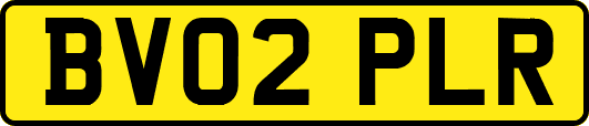 BV02PLR