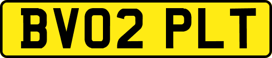 BV02PLT