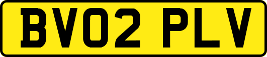 BV02PLV