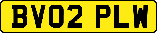 BV02PLW