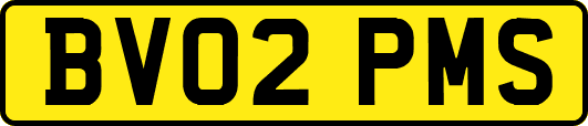 BV02PMS