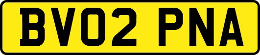 BV02PNA