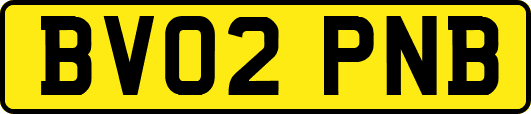 BV02PNB