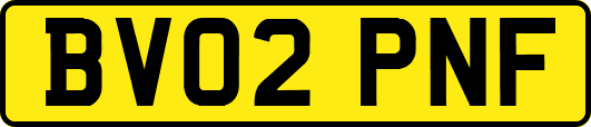 BV02PNF