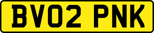BV02PNK