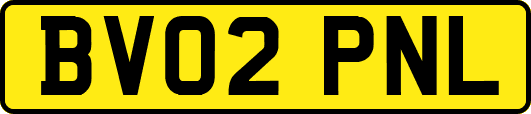BV02PNL