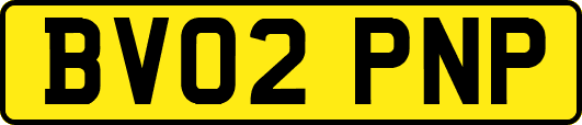 BV02PNP