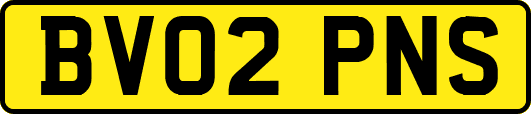 BV02PNS