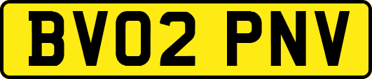 BV02PNV