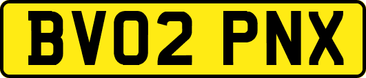 BV02PNX