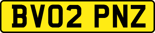 BV02PNZ