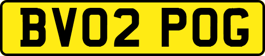 BV02POG