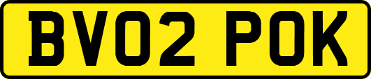 BV02POK