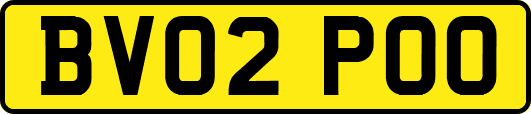 BV02POO