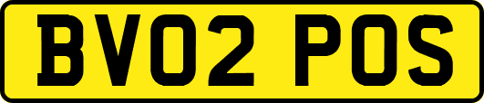 BV02POS