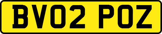 BV02POZ