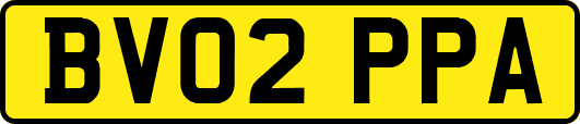 BV02PPA