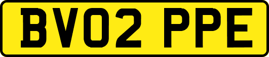 BV02PPE