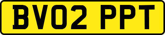 BV02PPT