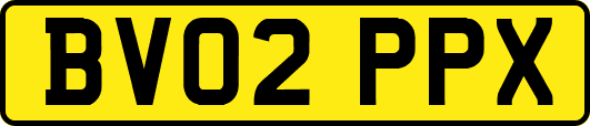 BV02PPX