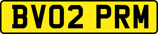 BV02PRM