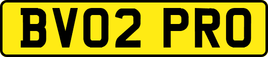BV02PRO