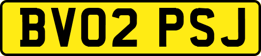 BV02PSJ