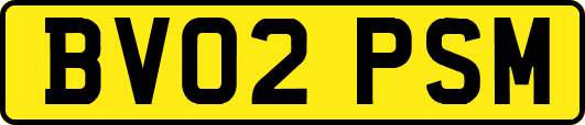 BV02PSM