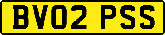 BV02PSS