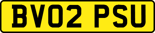 BV02PSU