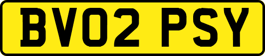 BV02PSY