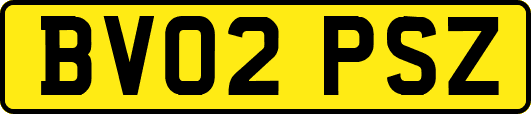 BV02PSZ