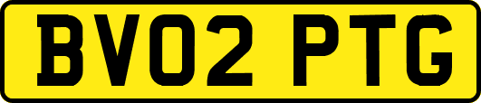 BV02PTG