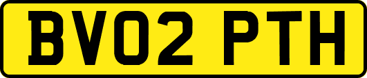 BV02PTH