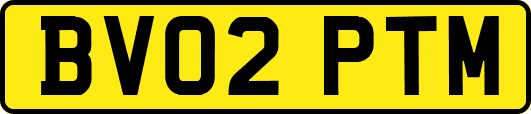BV02PTM