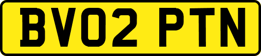 BV02PTN