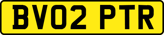 BV02PTR