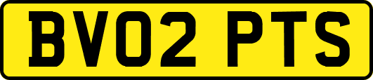 BV02PTS