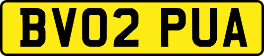 BV02PUA