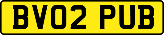 BV02PUB
