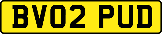 BV02PUD