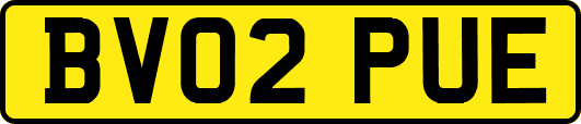 BV02PUE