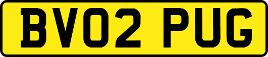 BV02PUG